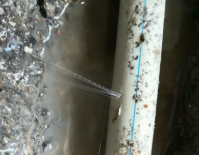 察哈尔右翼后测漏水哪家好