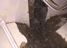 察哈尔右翼后卫生间测漏水哪家好