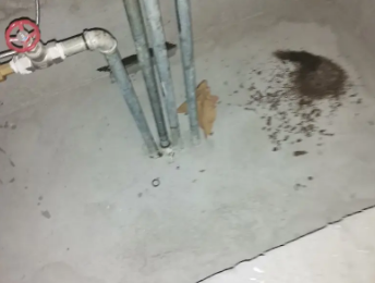 察哈尔右翼后卫生间测漏水价格明细