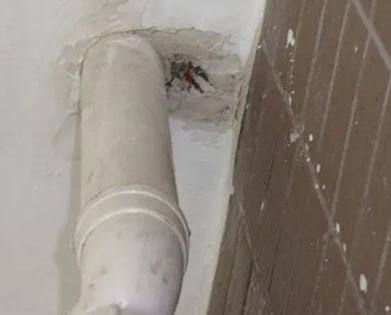 察哈尔右翼后漏水检测哪家好